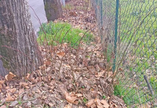 Viterbo - Marciapiede di via Santa Maria della Grotticella