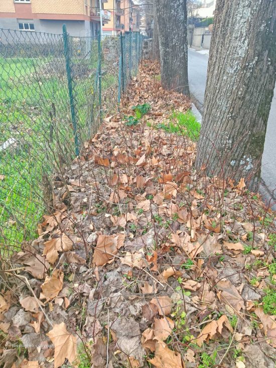 Viterbo - Marciapiede di via Santa Maria della Grotticella