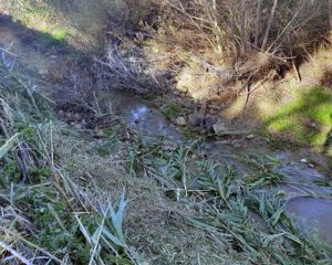 Civitavecchia - La pulizia dei fossi