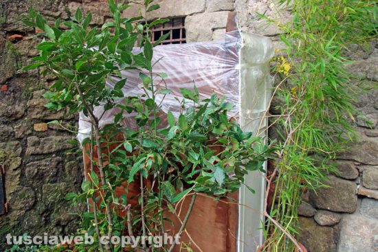 Viterbo - La discarica di via del Collegio