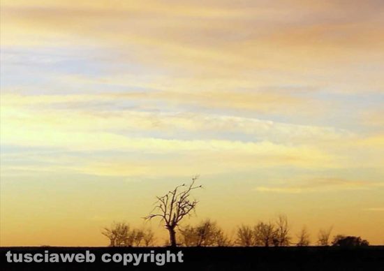 Viterbo - Tramonto a Monterazzano