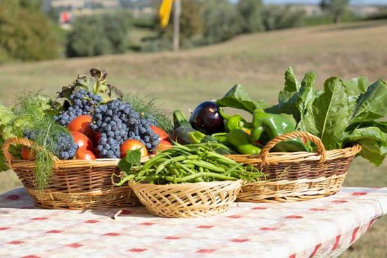 Fondazione Cotarella