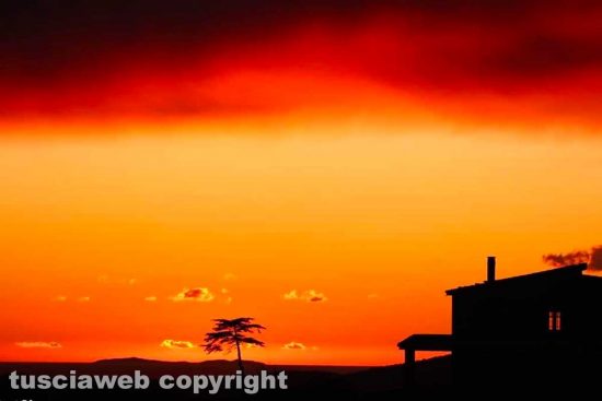 WhatsApp-Image-2021-12-11-at-17.31.27