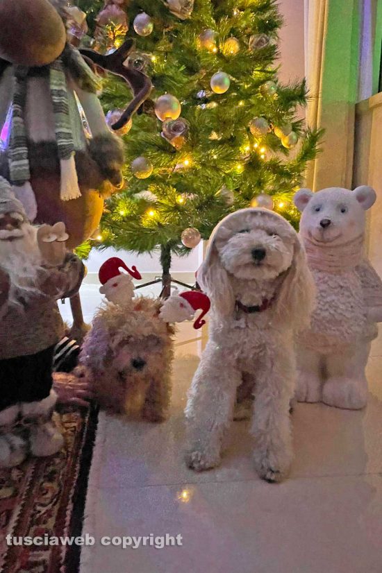 WhatsApp-Image-2021-12-28-at-20.18.27-(1)