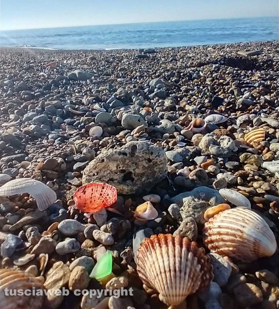 Mare d'inverno