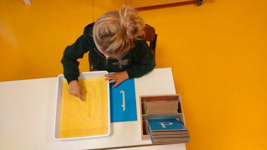 Il complesso scolastico Cardinal Ragonesi