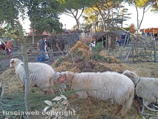Montefiascone - La sesta edizione del presepe vivente