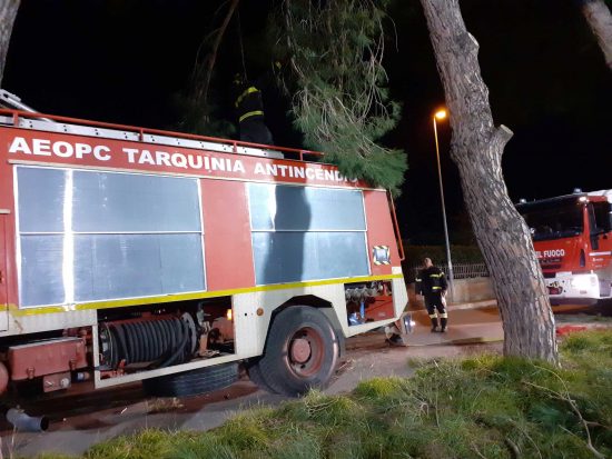 Tarquinia - Rami pericolanti e un incendio di sterpaglie, l'intervento dei volontari Aeopc