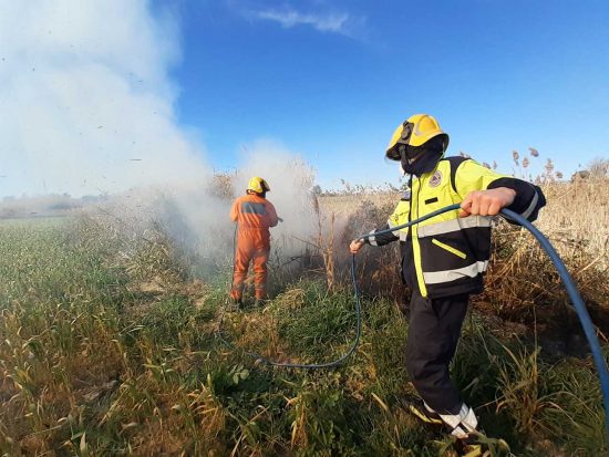 Tarquinia - Rami pericolanti e un incendio di sterpaglie, l'intervento dei volontari Aeopc