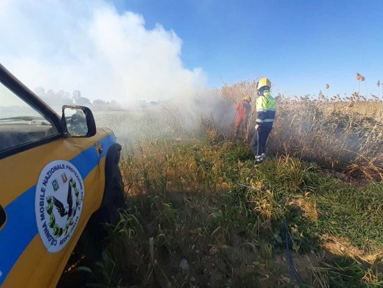 Tarquinia - Rami pericolanti e un incendio di sterpaglie, l'intervento dei volontari Aeopc