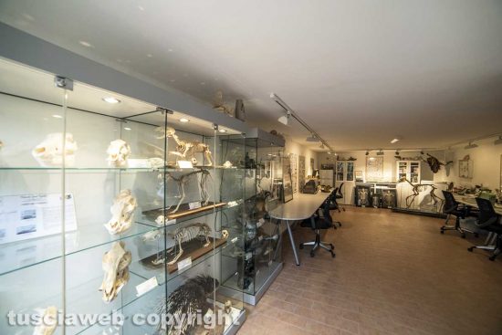 Soriano nel Cimino - Il laboratorio scientifico all'abbazia di Sant'Egidio