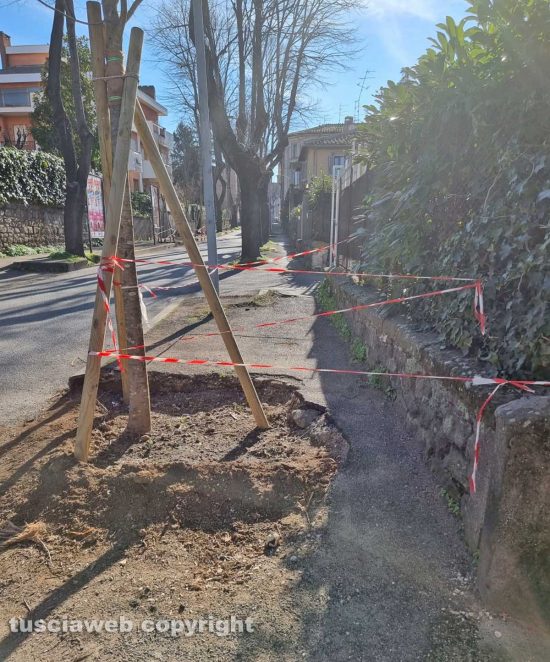 Viterbo - Transenne rendono impraticabile il marciapiede di via Lorenzo da Viterbo