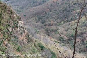 Castiglione in Teverina - L'intervento dei vigili del fuoco