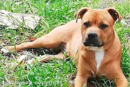 Tyson