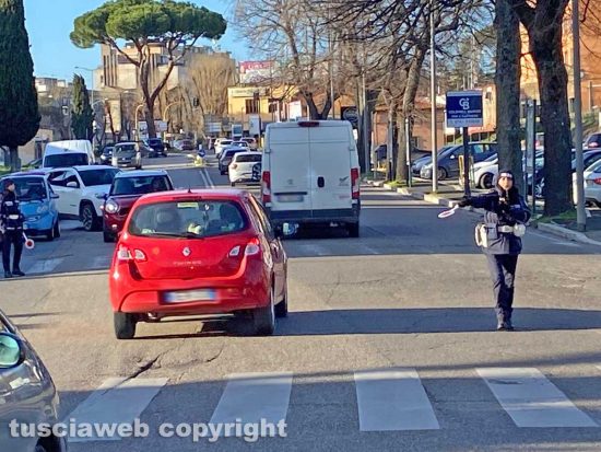Viterbo - Si spezzano rami da albero in viale Capocci