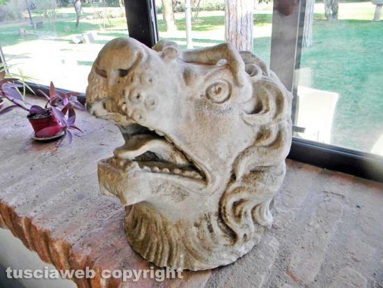 La testa del leone ritrovata in una villa lungo l'Appia Antica da Stefano Alessandrini