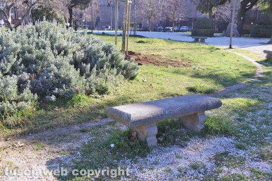 Viterbo - Prato giardino