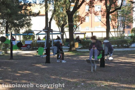 Viterbo - Prato giardino