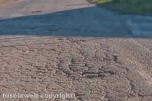 Viterbo - Incuria sulle strade del Poggino