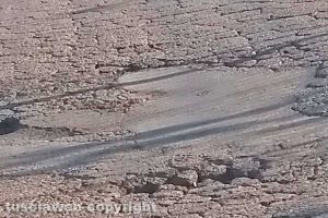 Viterbo - Incuria sulle strade del Poggino