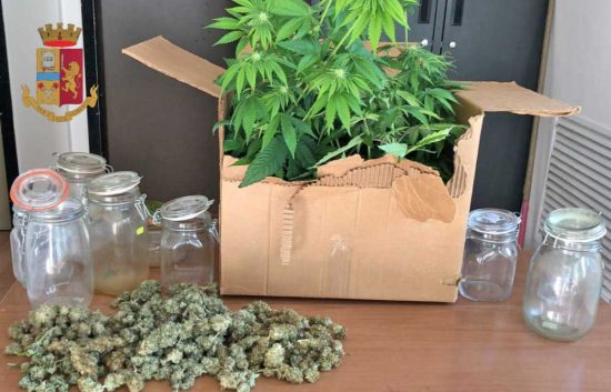 Viterbo - Nascondeva marijuana in barattoli all'interno della cabina armadio