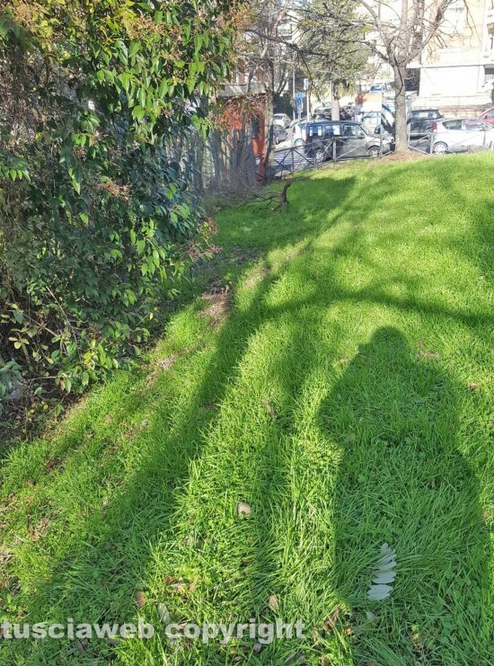 Viterbo - Parco pubblico alla Mazzetta