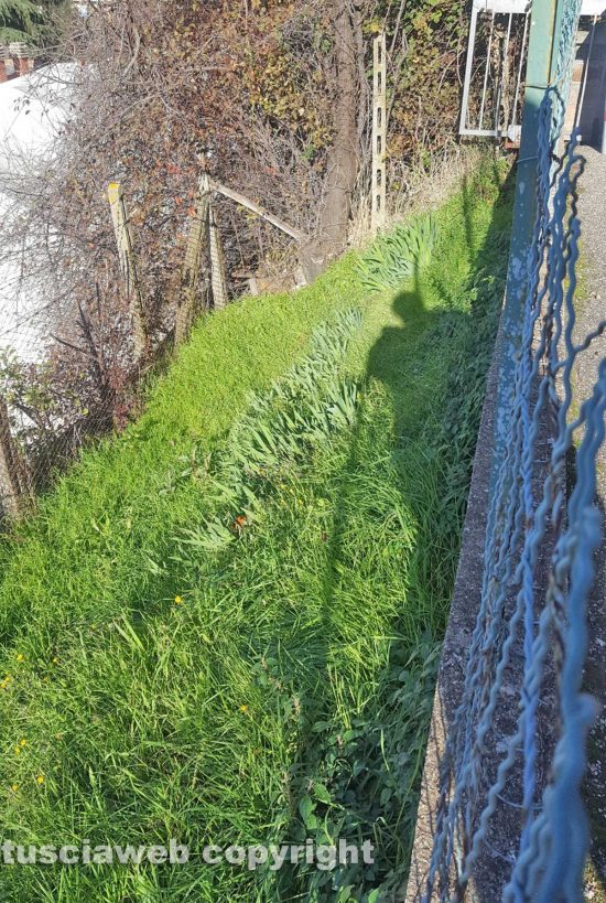 Viterbo - Terreno sotto via Tommaseo alla Mazzetta