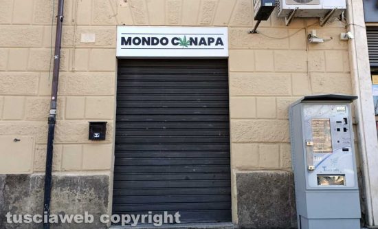 Viterbo - Mondo Canapa