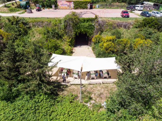 Castiglione in Teverina - L'azienda agricola Trebotti
