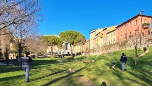 Terni - Polizia - Operazione "Parchi sicuri"