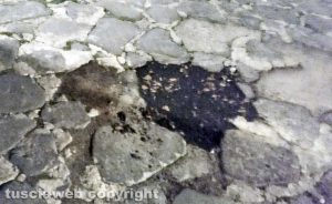 Viterbo - Incuria a Roccalvecce