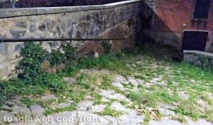 Viterbo - Incuria a Roccalvecce