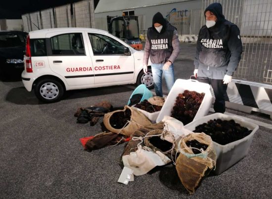 Civitavecchia - Pesca illegale di ricci di mare