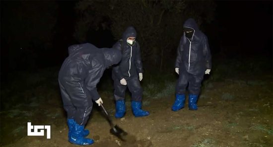 Carcasse di polli interrate nei pressi di un allevamento del Viterbese