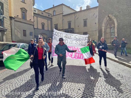 Viterbo - Allevatori in piazza del Comune