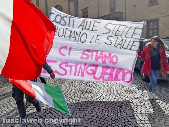 Viterbo - Allevatori in piazza del Comune