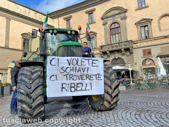 Viterbo - Allevatori in piazza del Comune