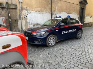 Vigili del fuoco e carabinieri