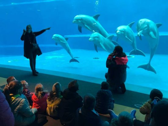 Genova - I bimbi sordi in visita all'acquario della città