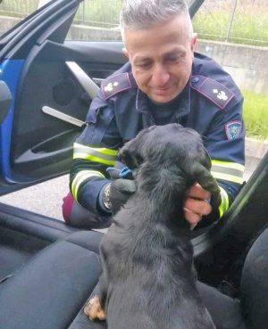 Il bassotto salvato sulla Orte - Terni