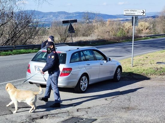 Polizia - I controlli antidroga 