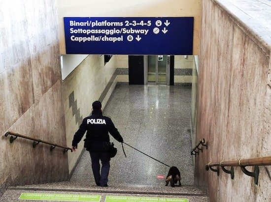 Polizia - I controlli antidroga 