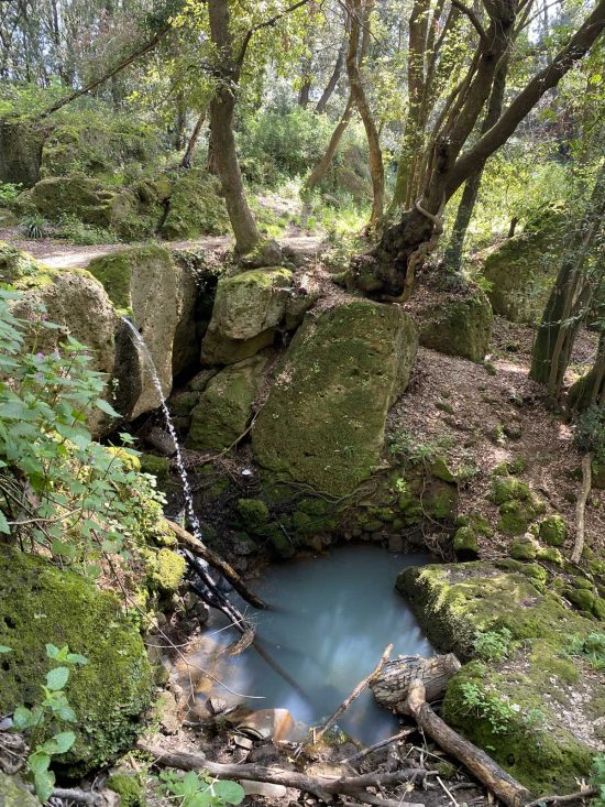 Il parco archeologico di Cerveteri e Tarquinia