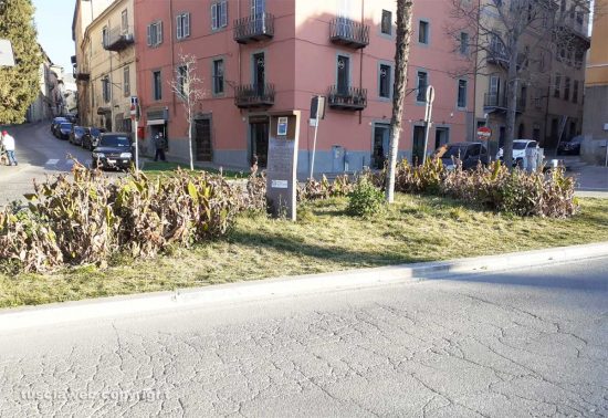 Viterbo - Erba alta