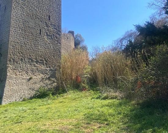 Viterbo - Le mura della città