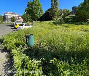 Viterbo - Erba alta ai giardini della Mazzetta