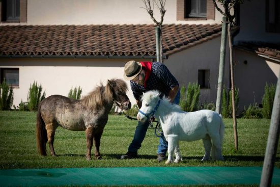 Fattoria Tellus