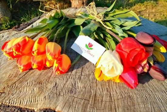 Tuscia Flower