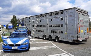 Orte - I controlli della polizia stradale