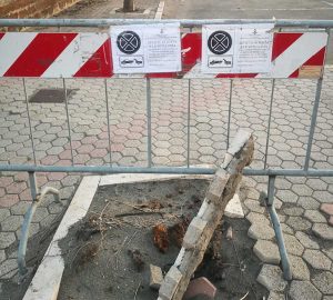 Marina di Montalto - Transenne